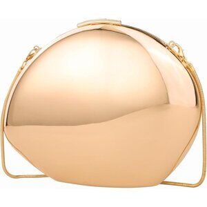 Women's Champagne Metal Design Small Unique Elegant Acrylic Party Clucth